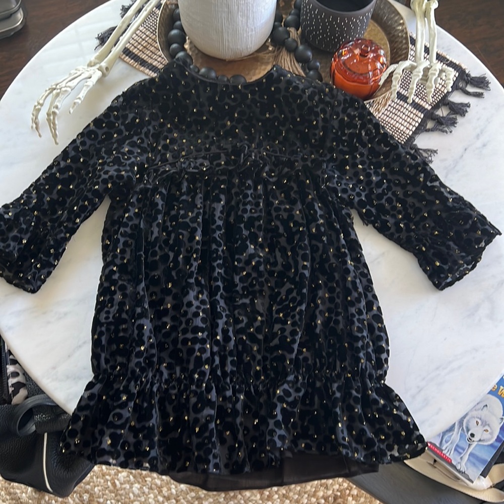 Zara limited edition flocked dress